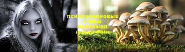 марки lsd Приозерск