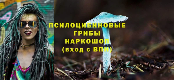 мяу мяу кристалл Покачи