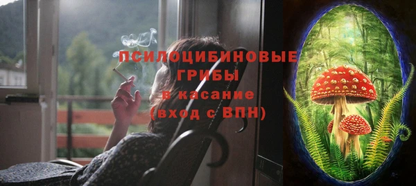 индика Видное