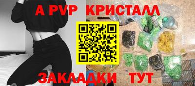 шишки Аргун