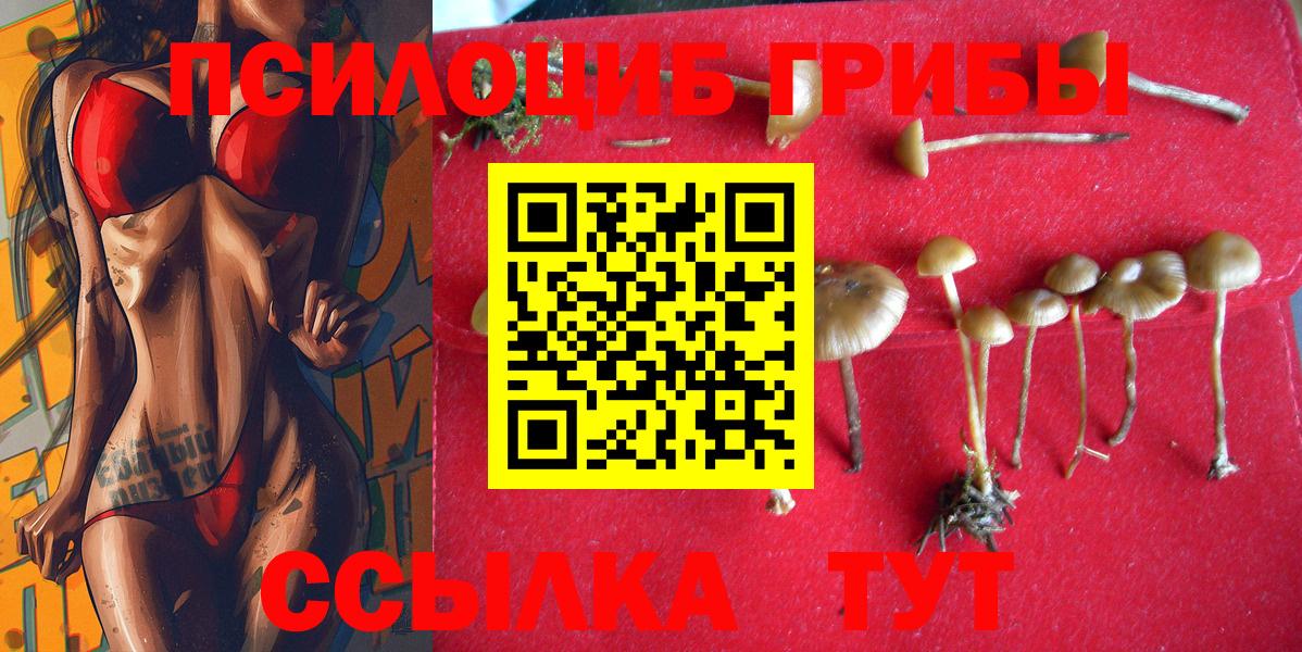 Великий Устюг  Галлюциногенные грибы прущие грибы  Вход с VPN 