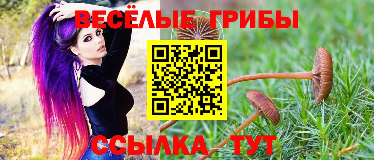 Галлюциногенные грибы Magic Shrooms Великий Устюг