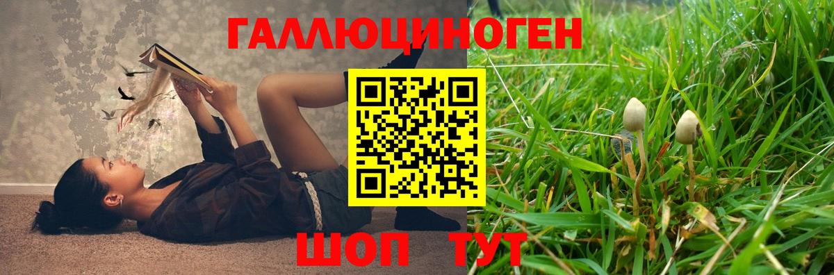 Псилоцибиновые грибы мицелий  Великий Устюг 